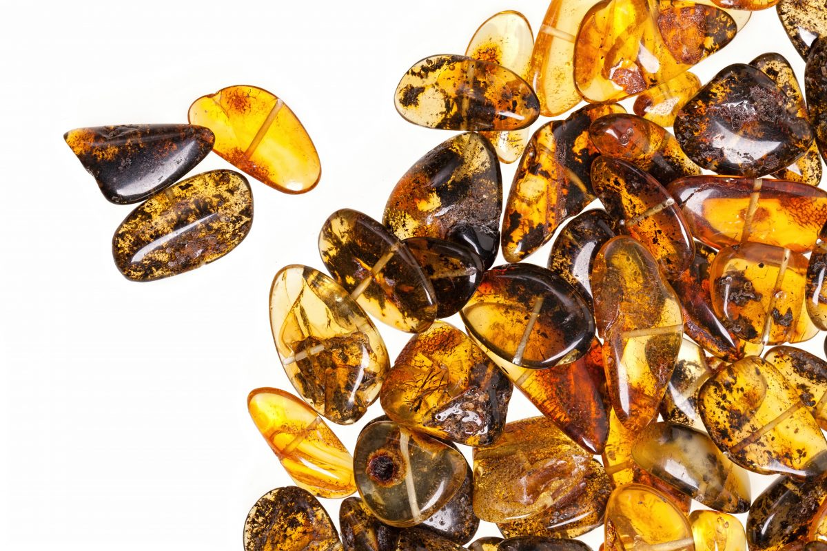 Diferentes tonalidades del ámbar de Chiapas
