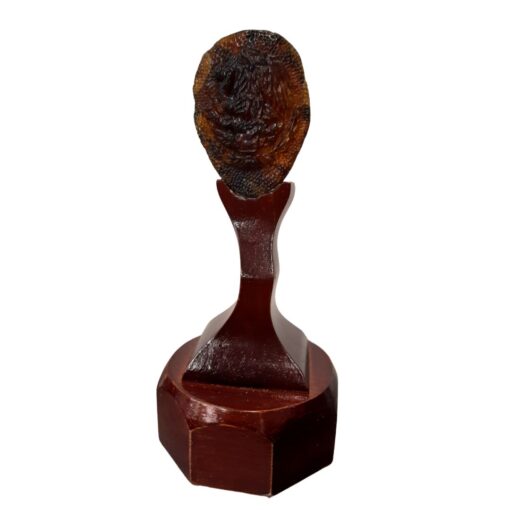 Escudo Nacional Mexicano ámbar con base de madera de cedro - Imagen 2