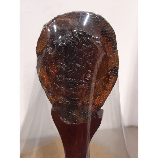 Escudo Nacional Mexicano ámbar con base de madera de cedro - Imagen 7